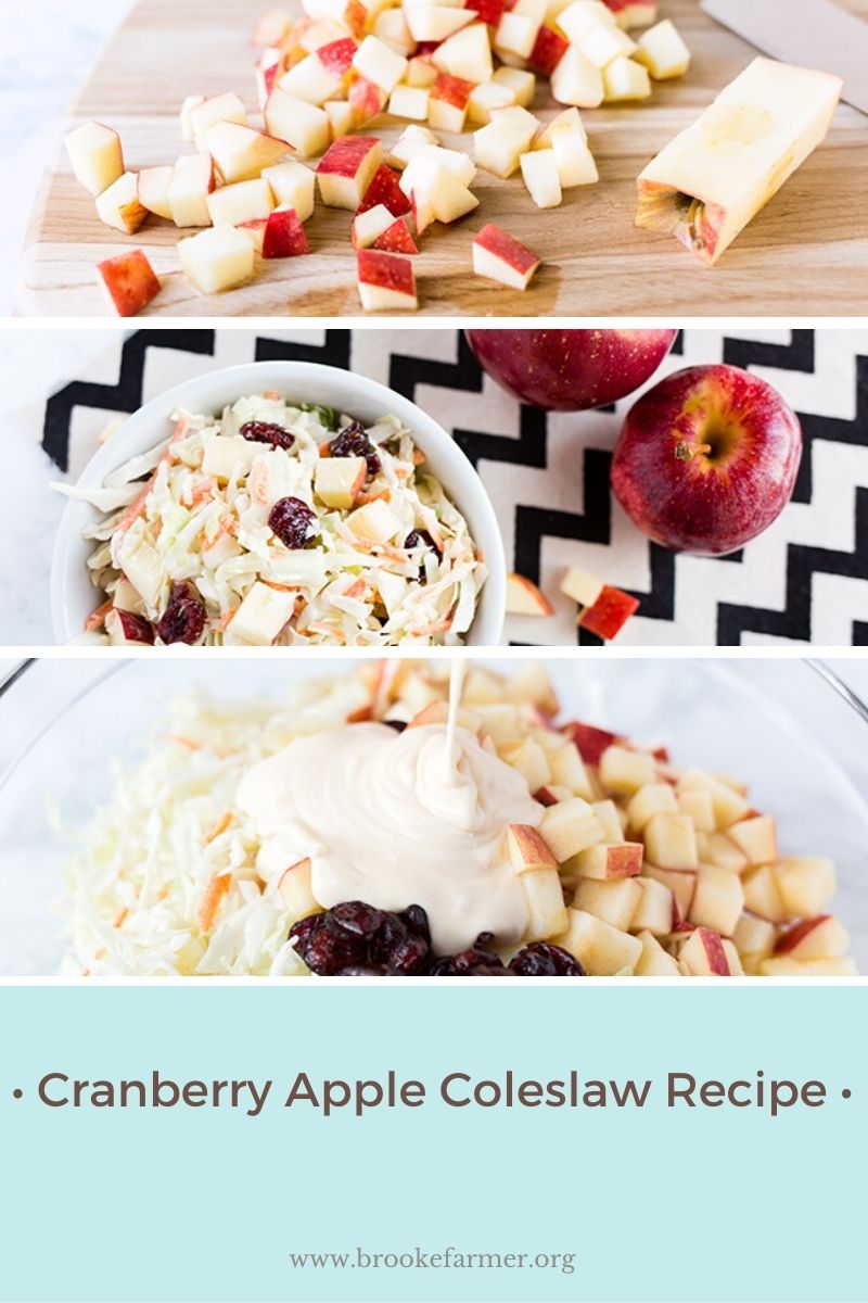 Cranberry Apple Coleslaw Recipe