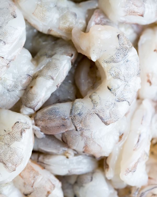 shrimp