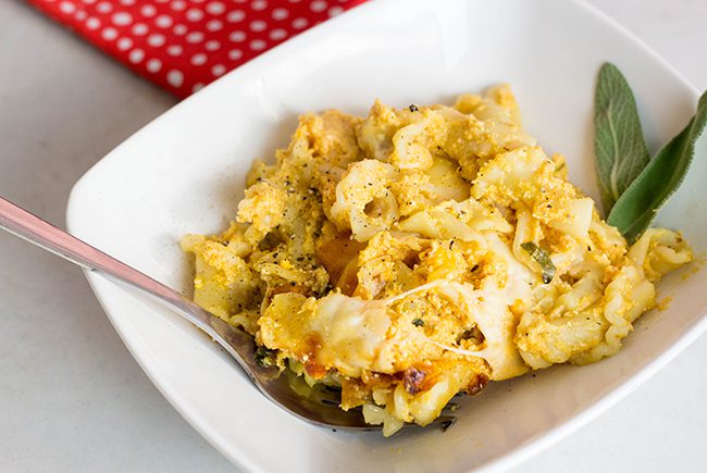Pumpkin Cheese Pasta